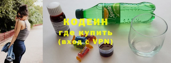 ГАЛЛЮЦИНОГЕННЫЕ ГРИБЫ Елабуга