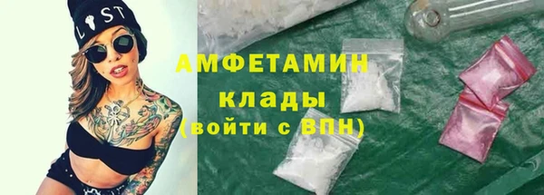 ГАЛЛЮЦИНОГЕННЫЕ ГРИБЫ Елабуга