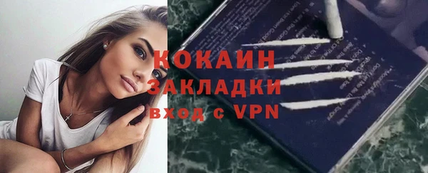 гашик Елизово