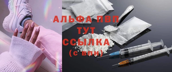ГАЛЛЮЦИНОГЕННЫЕ ГРИБЫ Елабуга