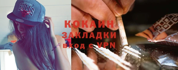 Альфа ПВП Ельня