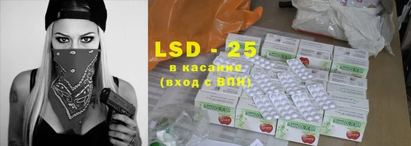 ГАЛЛЮЦИНОГЕННЫЕ ГРИБЫ Елабуга