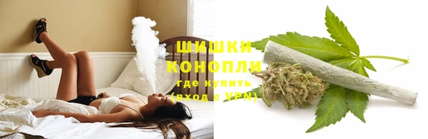 Альфа ПВП Ельня