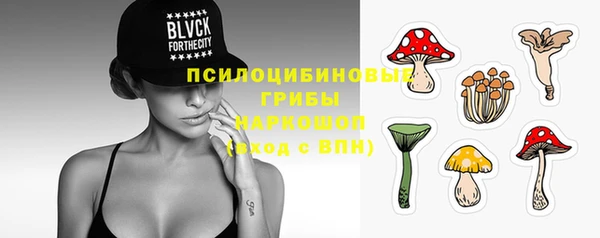 Альфа ПВП Ельня