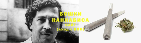 гашик Елизово
