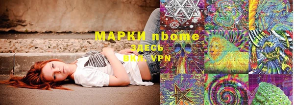 гашик Елизово
