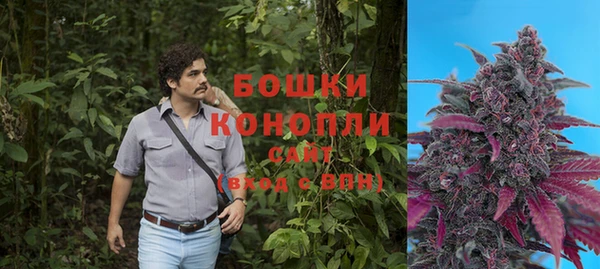 Альфа ПВП Ельня
