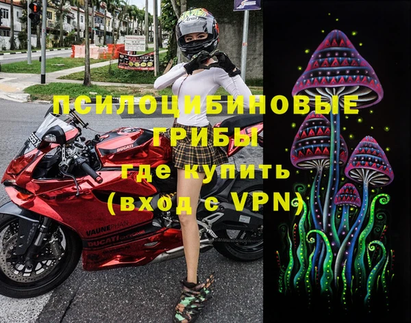 Альфа ПВП Ельня