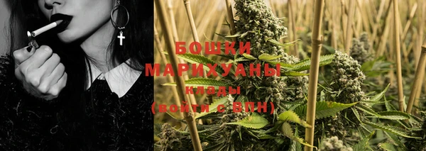 ГАЛЛЮЦИНОГЕННЫЕ ГРИБЫ Елабуга