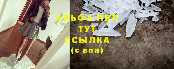 Альфа ПВП Ельня