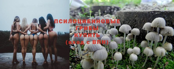 Альфа ПВП Ельня