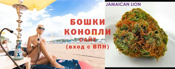 гашик Елизово