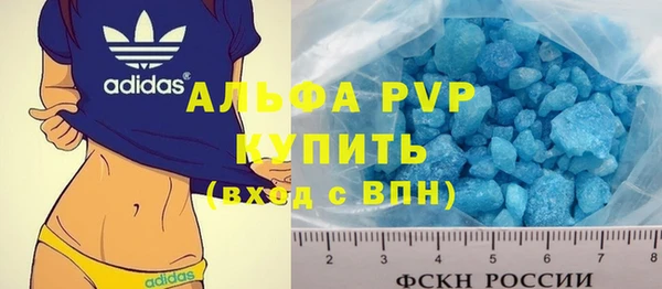 гашик Елизово