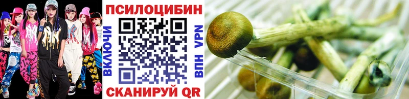 Галлюциногенные грибы мухоморы  Купить закладки  Фрязино 